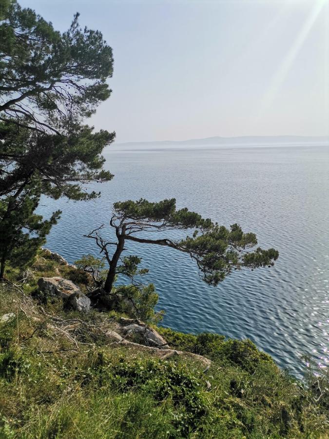 Apartmani Kike Makarska Ngoại thất bức ảnh